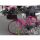 Koperta z suwakiem Panta A4 Rower